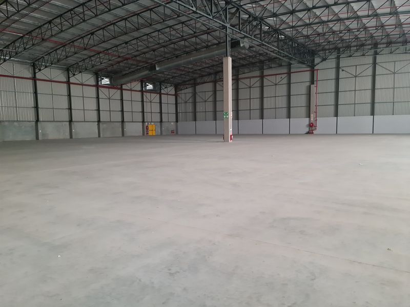 Warehouse TO LET in Blackheath - Brand new 7000m2 AAA Grade. - Photo 5