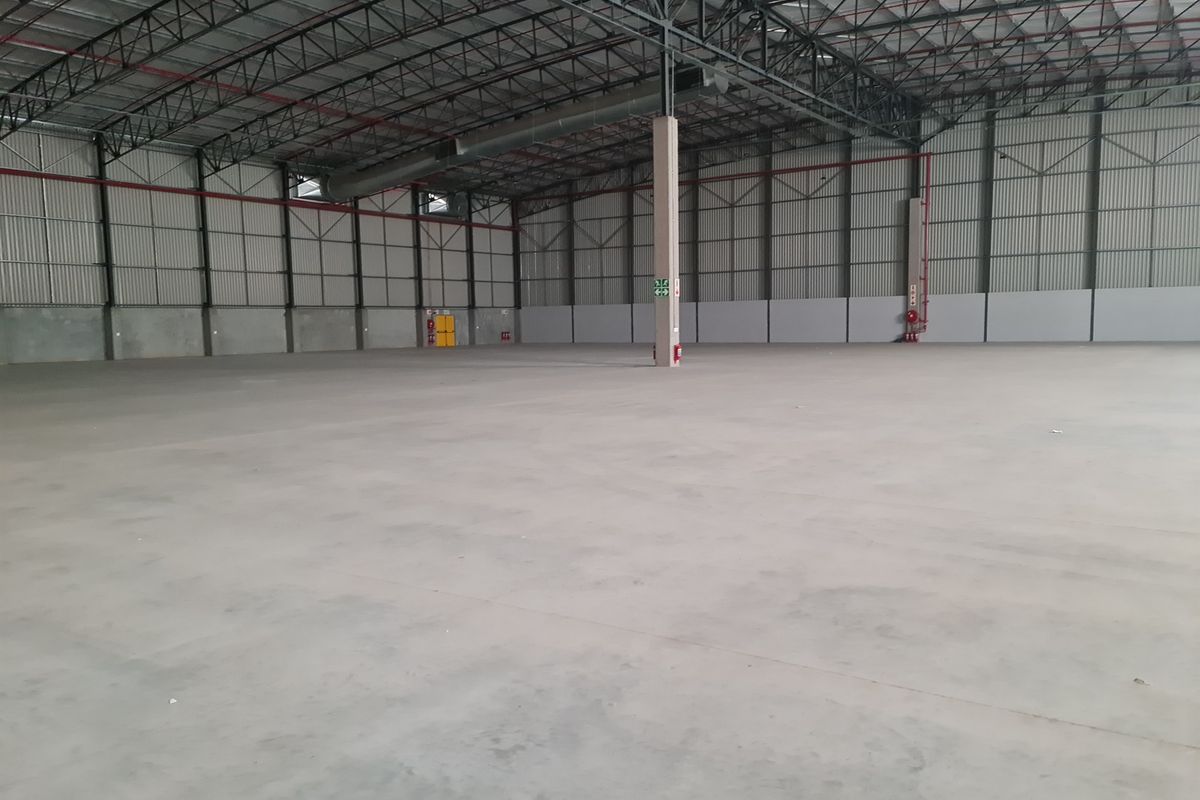 Warehouse TO LET in Blackheath - Brand new 7000m2 AAA Grade. - Photo 5