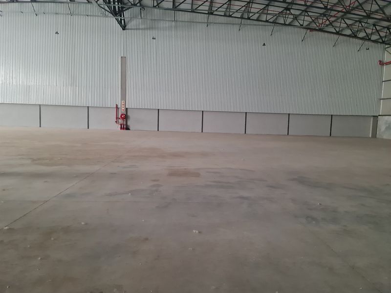 Warehouse TO LET in Blackheath - Brand new 3488m2 AAA Grade. - Photo 10