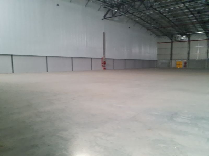 Warehouse TO LET in Blackheath - Brand new 3488m2 AAA Grade. - Photo 9