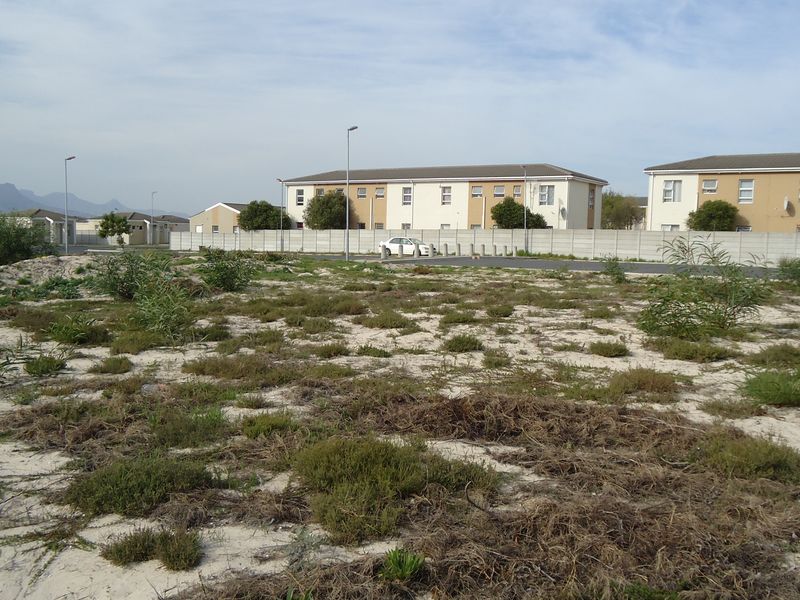 Vacant Land Commercial For Sale In Blue Downs - Photo 6