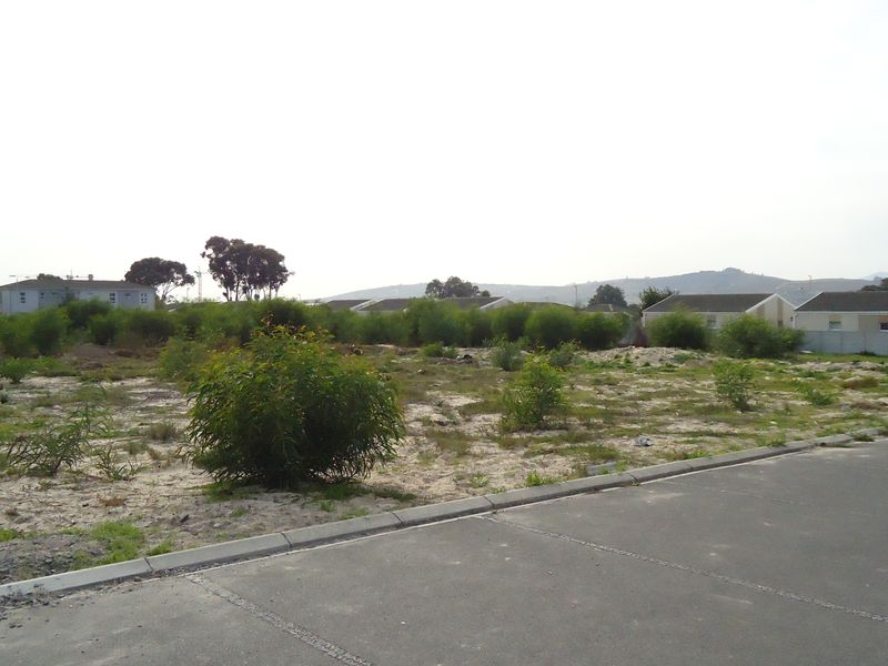 Vacant Land Commercial For Sale In Blue Downs - Photo 3