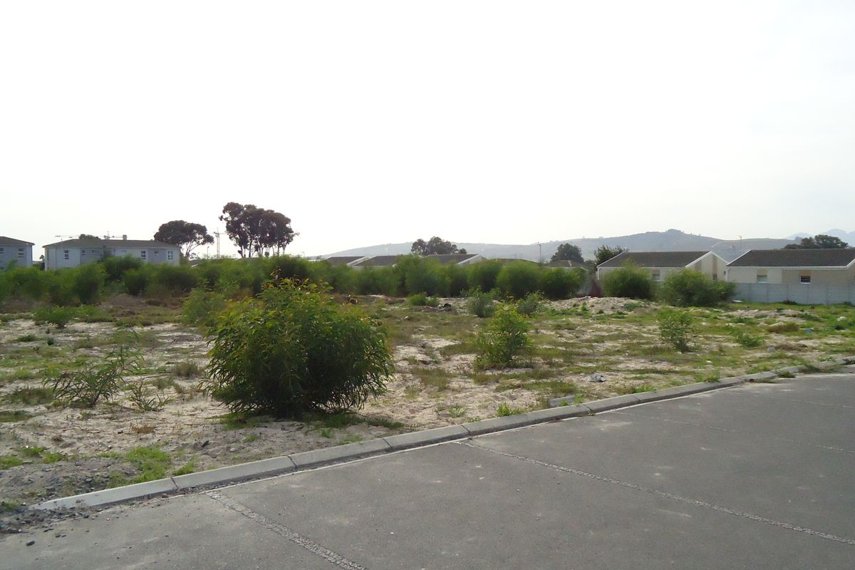 Vacant Land Commercial For Sale In Blue Downs - Photo 3