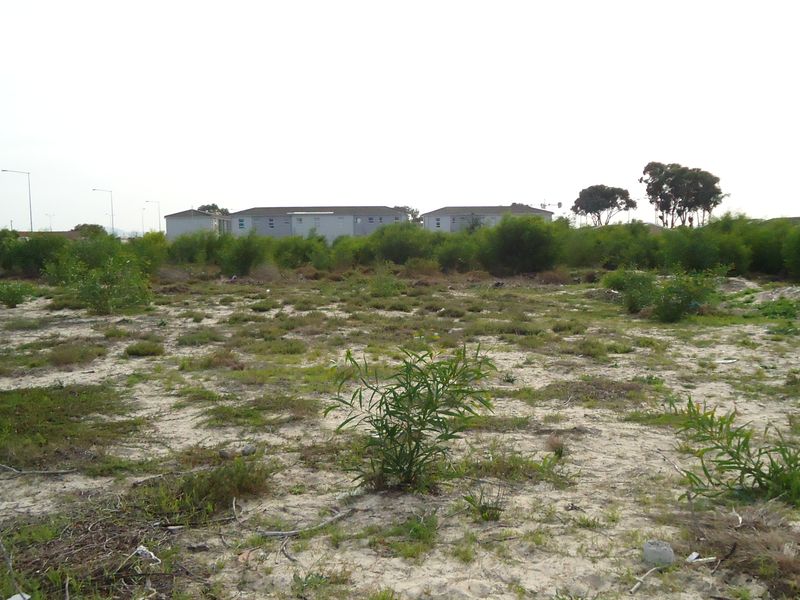 Vacant Land Commercial For Sale In Blue Downs - Photo 2