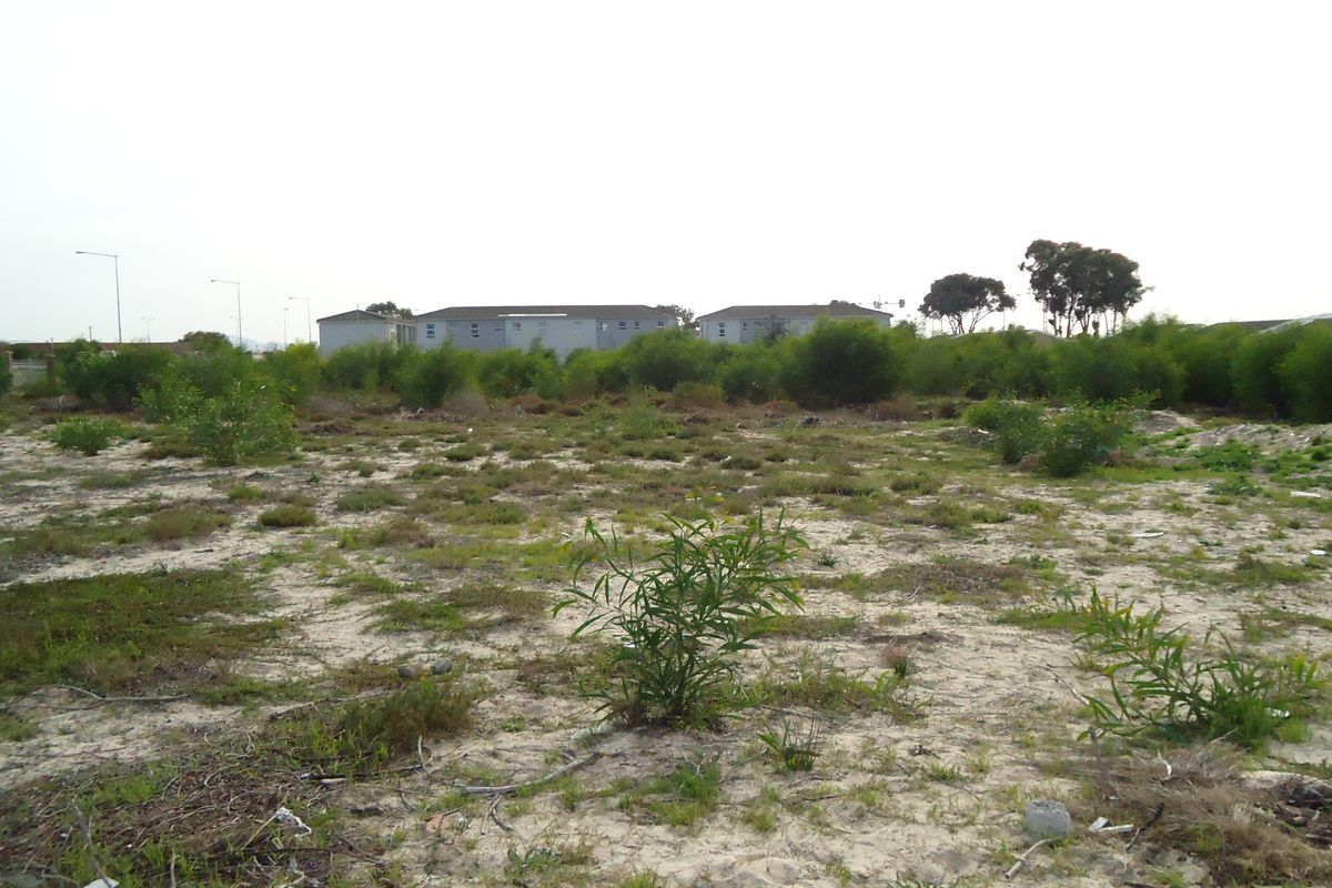 Vacant Land Commercial For Sale In Blue Downs - Photo 2