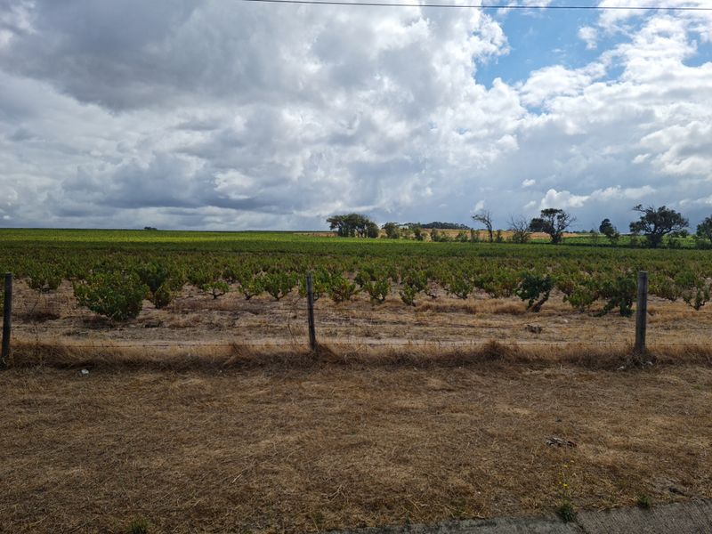 Brand New Development - Coming Soon - 267m2 Industrial Warehouse FOR SALE in Somerset West Firgrove. - Photo 9