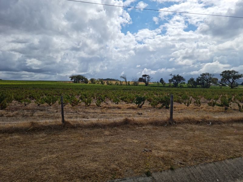 Brand New Development - Coming Soon - 267m2 Industrial Warehouse FOR SALE in Somerset West Firgrove. - Photo 8