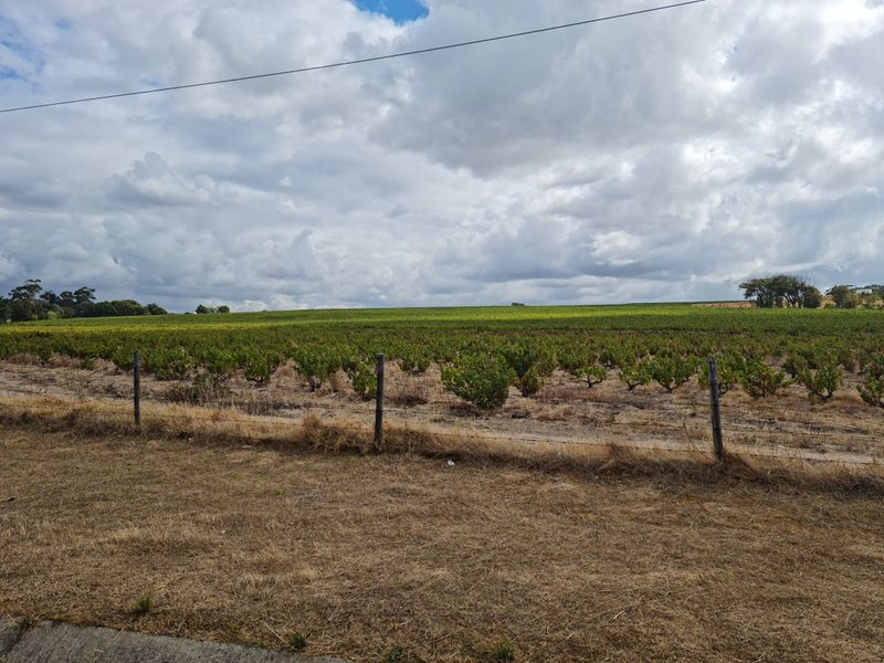 Brand New Development - Coming Soon - 267m2 Industrial Warehouse FOR SALE in Somerset West Firgrove. - Photo 7