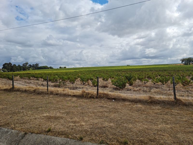 Brand New Development - Coming Soon - 267m2 Industrial Warehouse FOR SALE in Somerset West Firgrove. - Photo 6