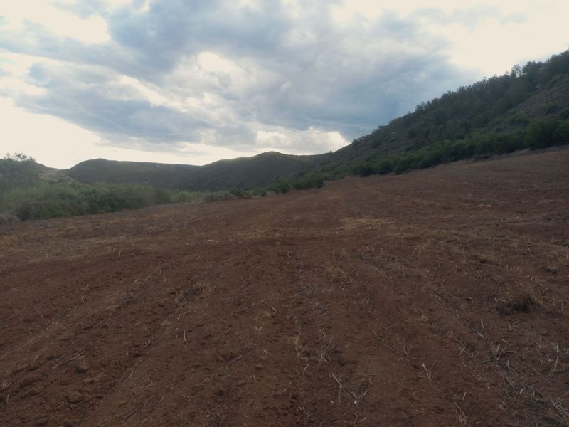 Farm For Sale In George - Photo 3