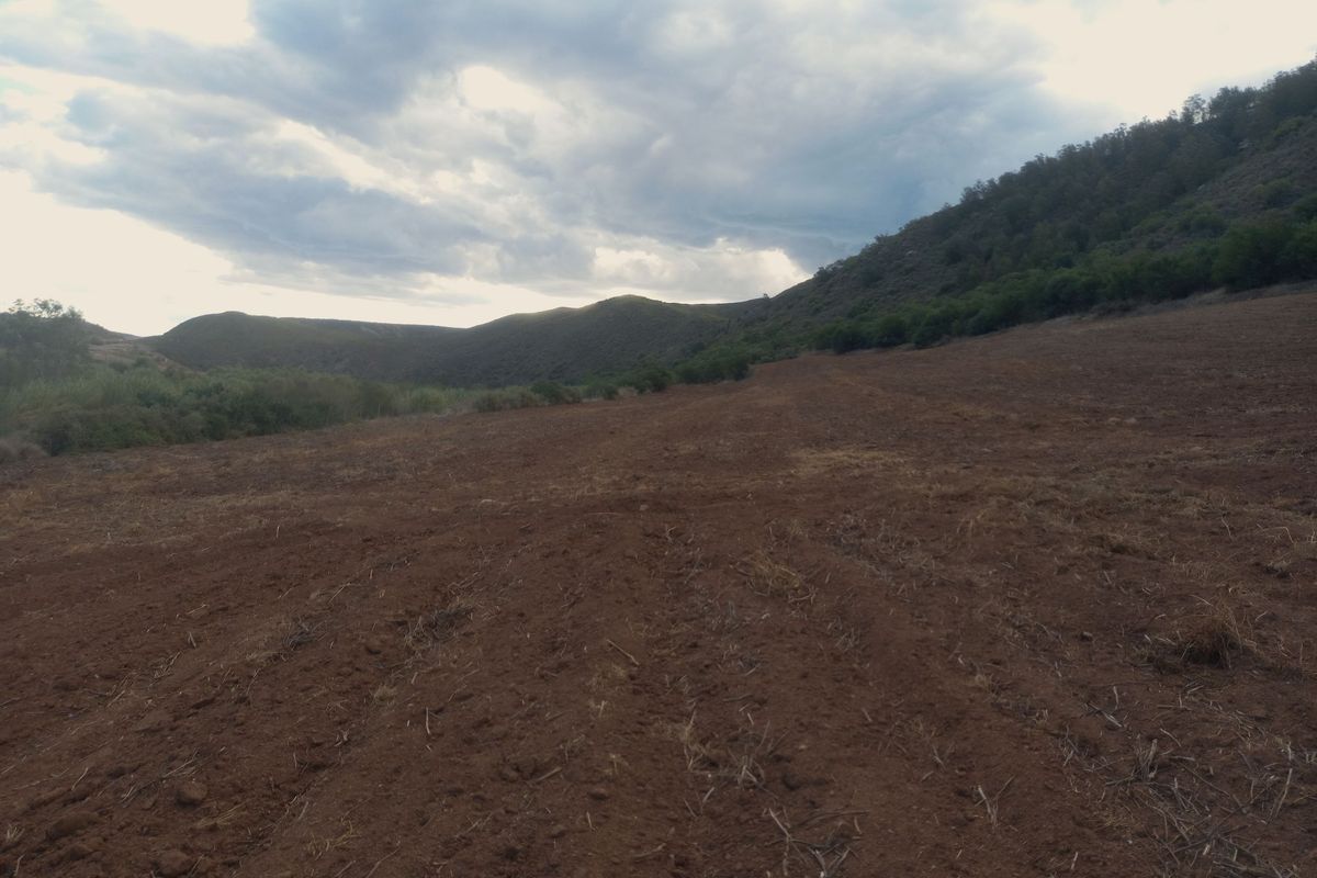 Farm For Sale In George - Photo 3