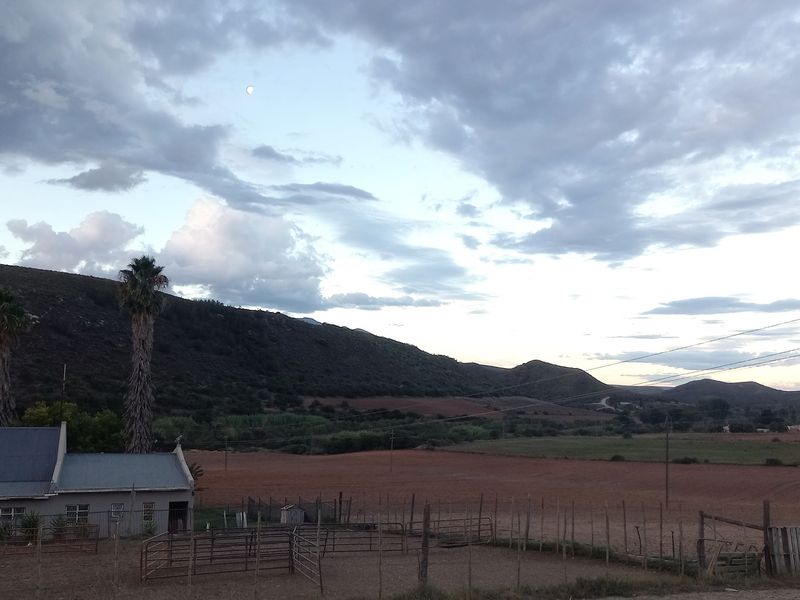 Farm For Sale In George - Photo 6