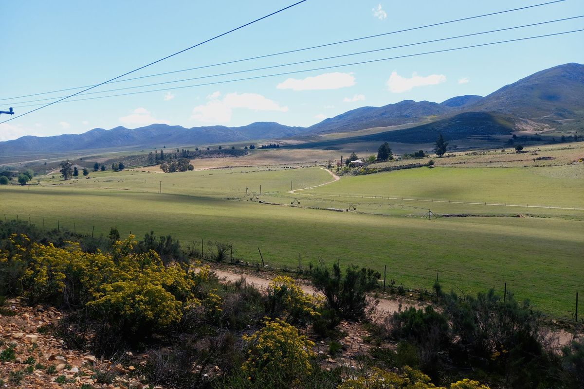 Farm For Sale In Uniondale - Photo 4