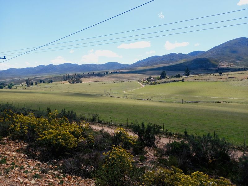 Farm For Sale In Uniondale - Photo 4