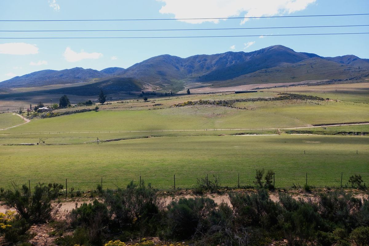 Farm For Sale In Uniondale - Photo 5