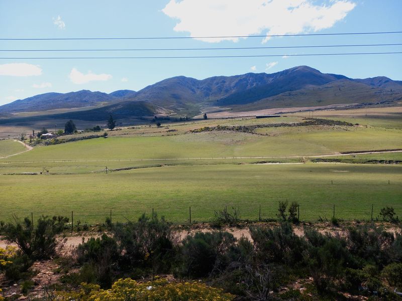 Farm For Sale In Uniondale - Photo 5