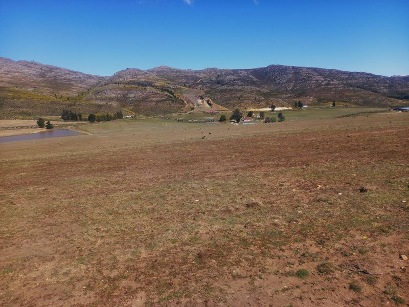 Farm For Sale In Uniondale - Photo 10