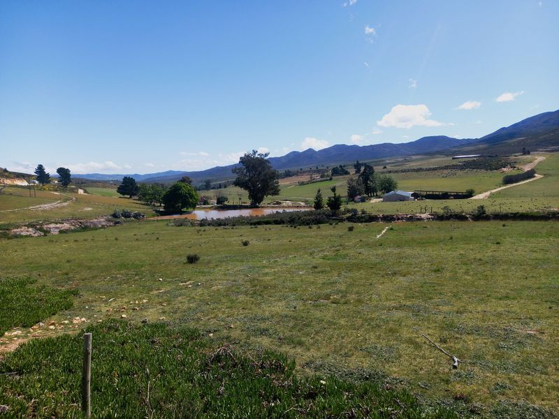 Farm For Sale In Uniondale - Photo 8