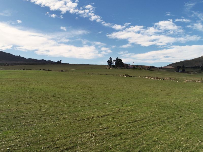 Farm For Sale In Uniondale - Photo 6