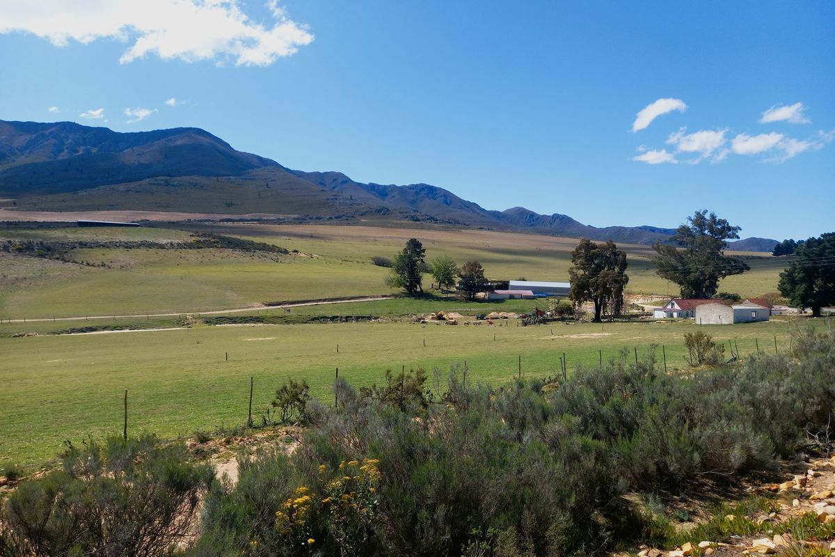 Farm For Sale In Uniondale - Photo 2