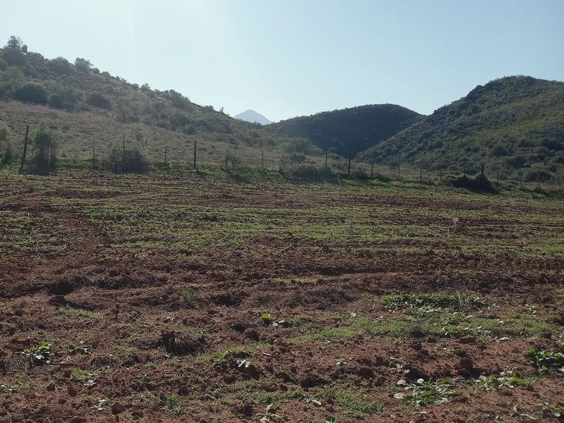 An expansive open plot of land featuring natural soil terrain, enclosed by wire fencing with scenic mountain views in the background.