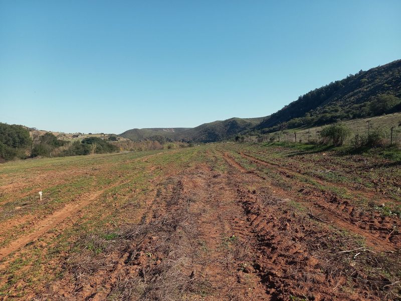 A wide-angle view of open agricultural land on a small holding, featuring natural terrain, distant hills, and perimeter wire fencing.