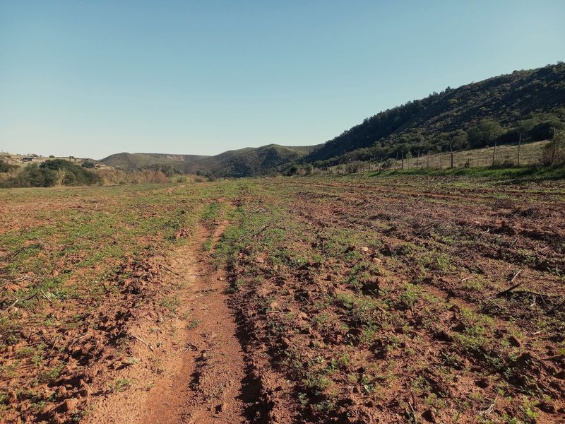 Expansive open land with natural terrain and mountain views, suitable for agricultural use or development on this small holding.