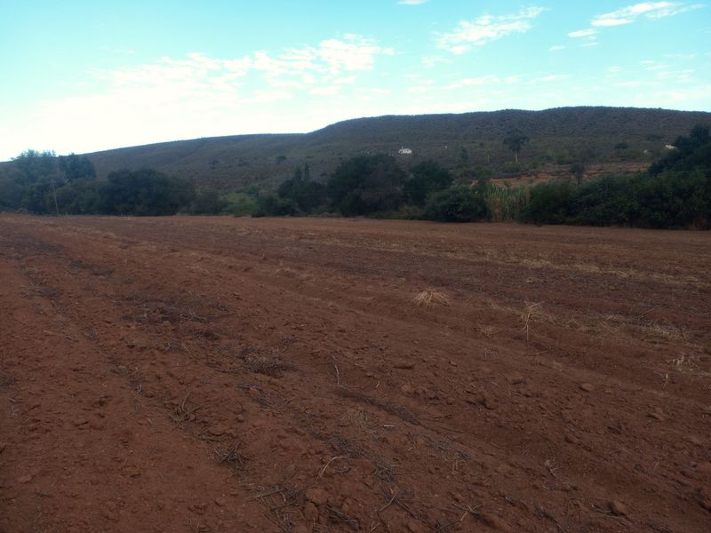 Expansive open plot of arable land featuring natural vegetation and scenic mountain views, suitable for agricultural use or development.