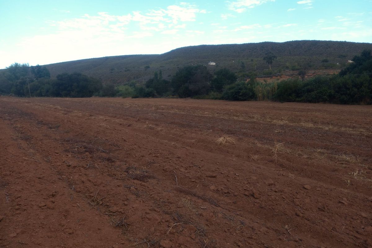 Expansive open plot of arable land featuring natural vegetation and scenic mountain views, suitable for agricultural use or development.