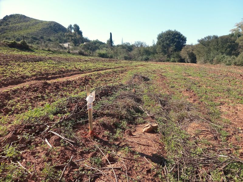 An expansive, open plot of land on a small holding, featuring cleared soil and natural landscape surroundings.