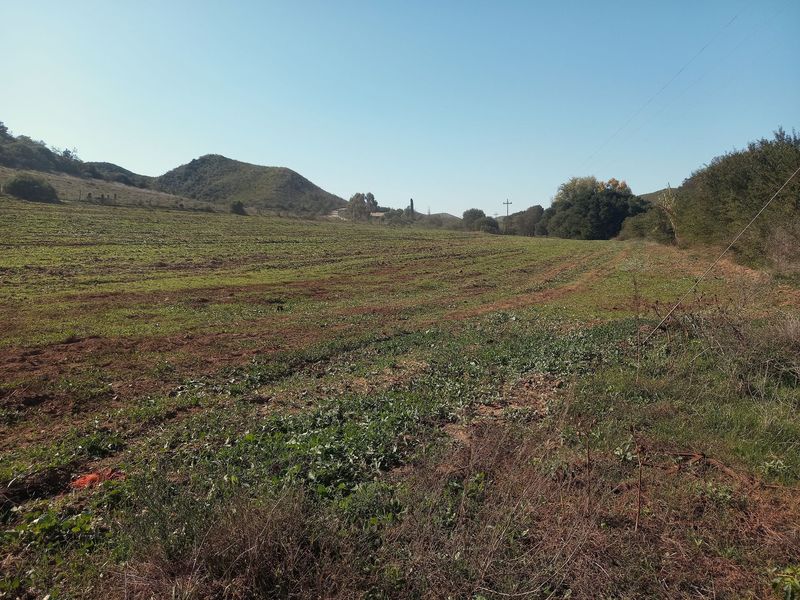 Expansive open agricultural land featuring rolling hills and natural landscape views, suitable for small holding development or farming.