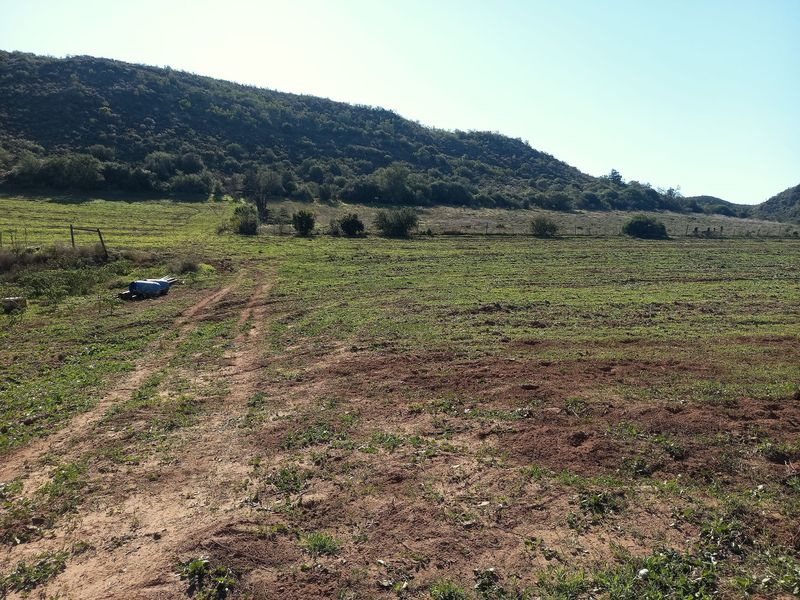 Expansive open land on a small holding featuring natural vegetation, a dirt track, and scenic mountain views.