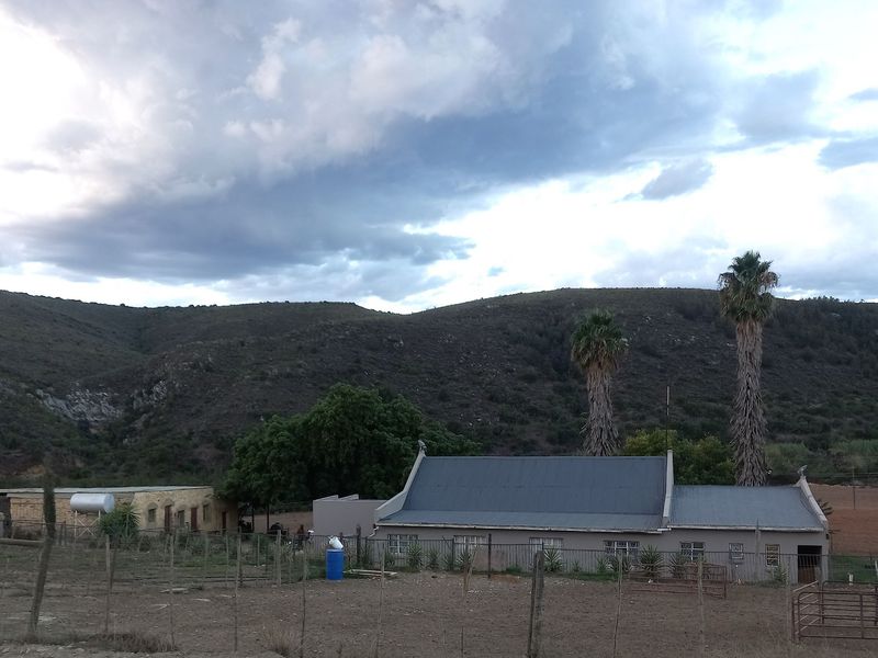 Farm For Sale In George - Photo 1