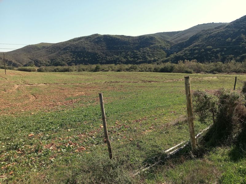 Farm For Sale In George - Photo 9