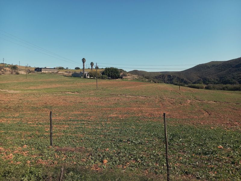 Farm For Sale In George - Photo 6