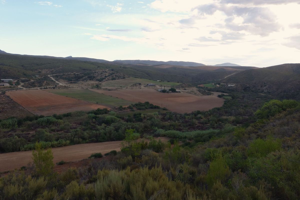 Farm For Sale In George - Photo 2