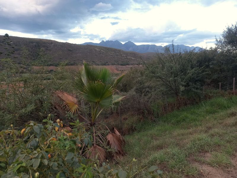 Farm For Sale In George - Photo 10