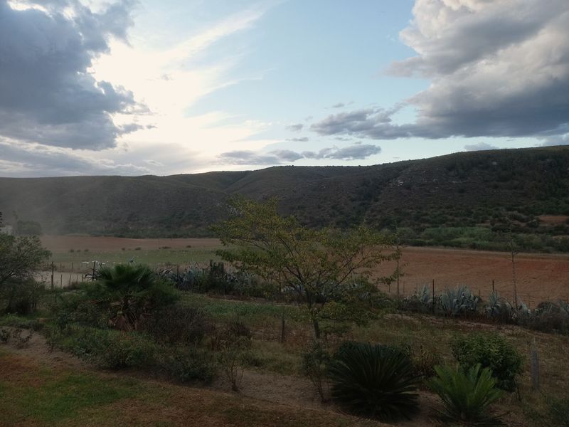 Farm For Sale In George - Photo 3