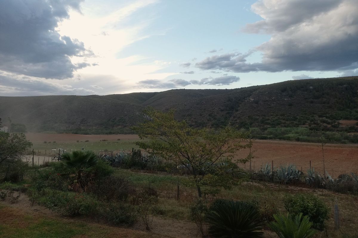Farm For Sale In George - Photo 3