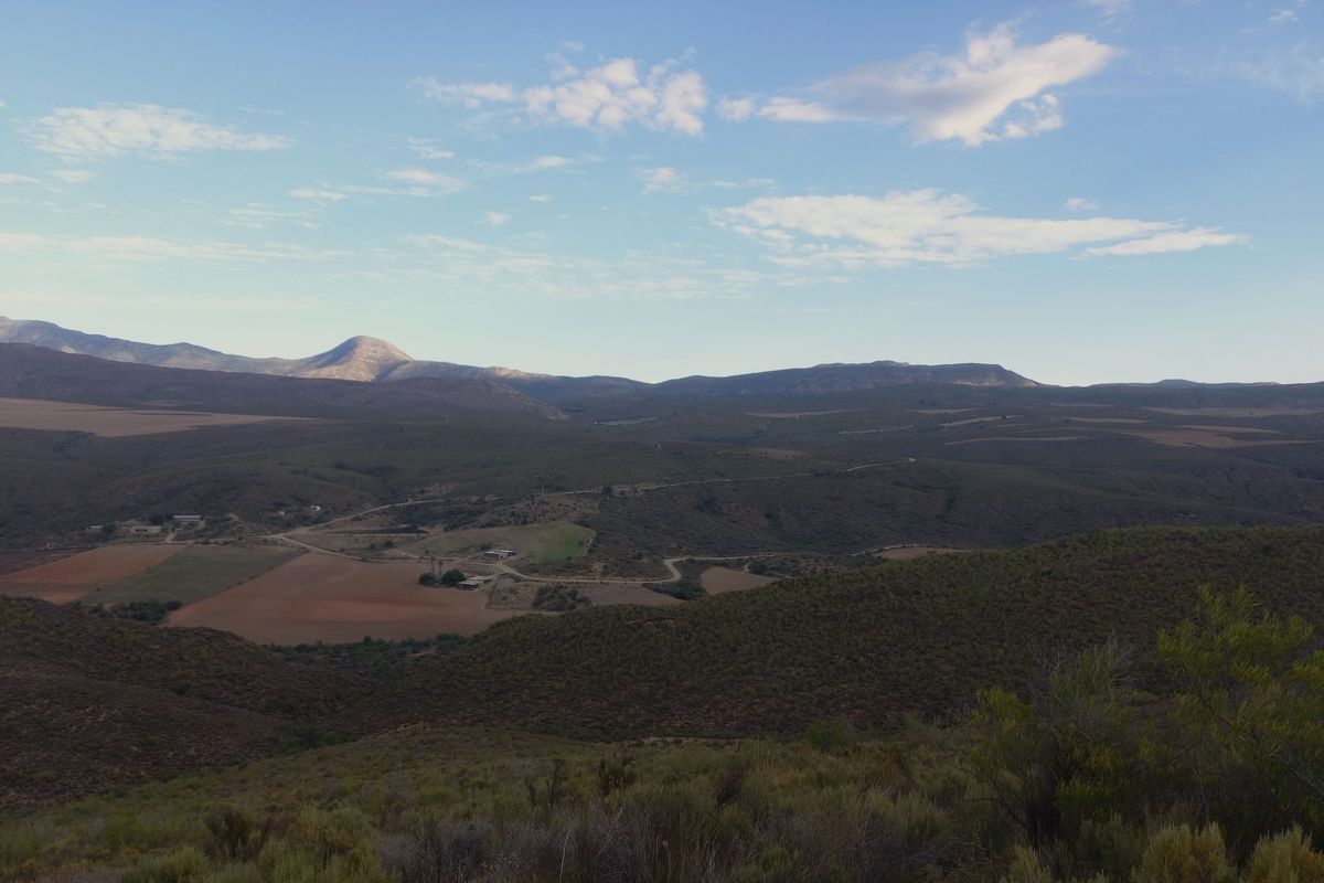 Farm For Sale In George - Photo 2