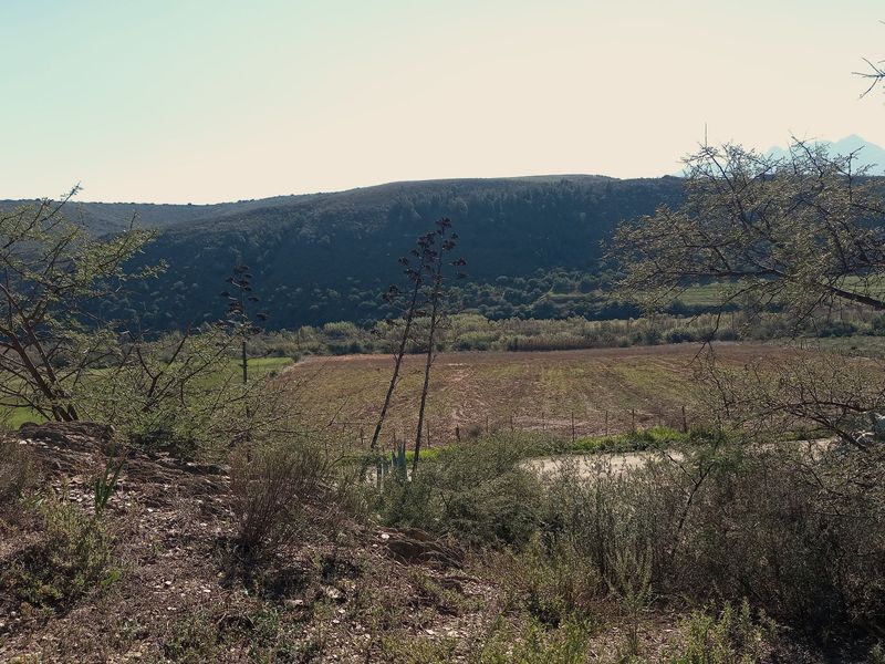 Farm For Sale In George - Photo 4