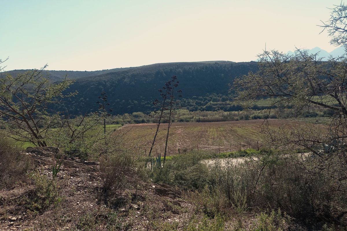 Farm For Sale In George - Photo 4