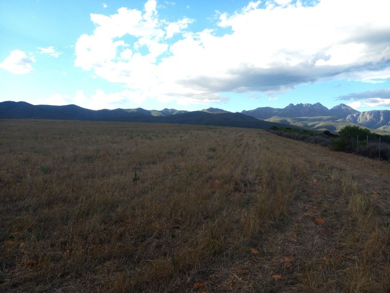 Farm For Sale In George - Photo 5