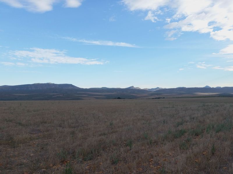 100-Hectare Lifestyle & Farming Opportunity Near George - Photo 6