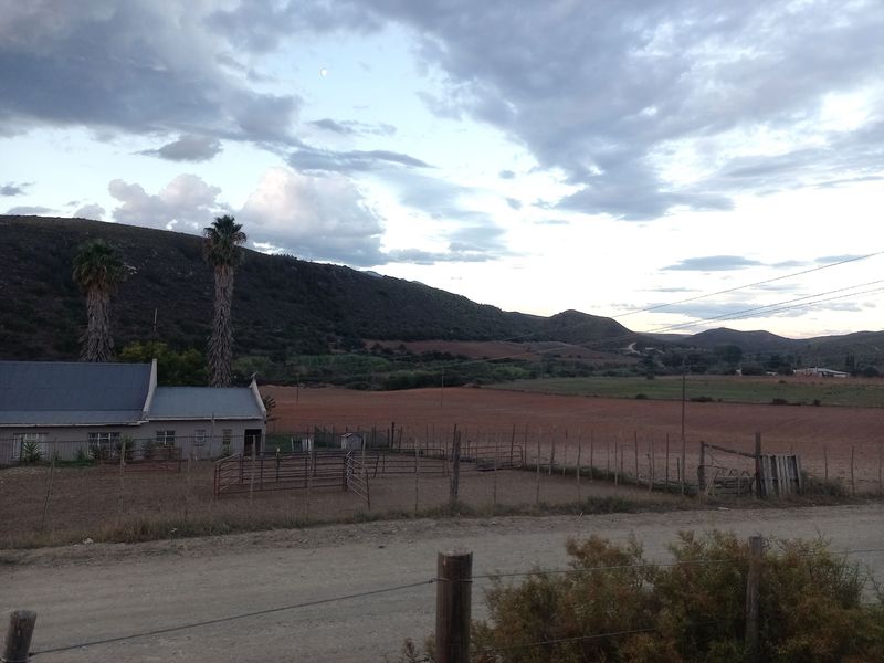 100-Hectare Lifestyle & Farming Opportunity Near George - Photo 2