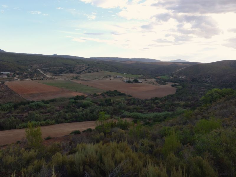 100-Hectare Lifestyle & Farming Opportunity Near George - Photo 4