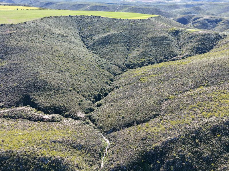 An aerial view of the farm property showcasing the natural landscape, rolling hills, dense vegetation, and a small stream running through the valley.
