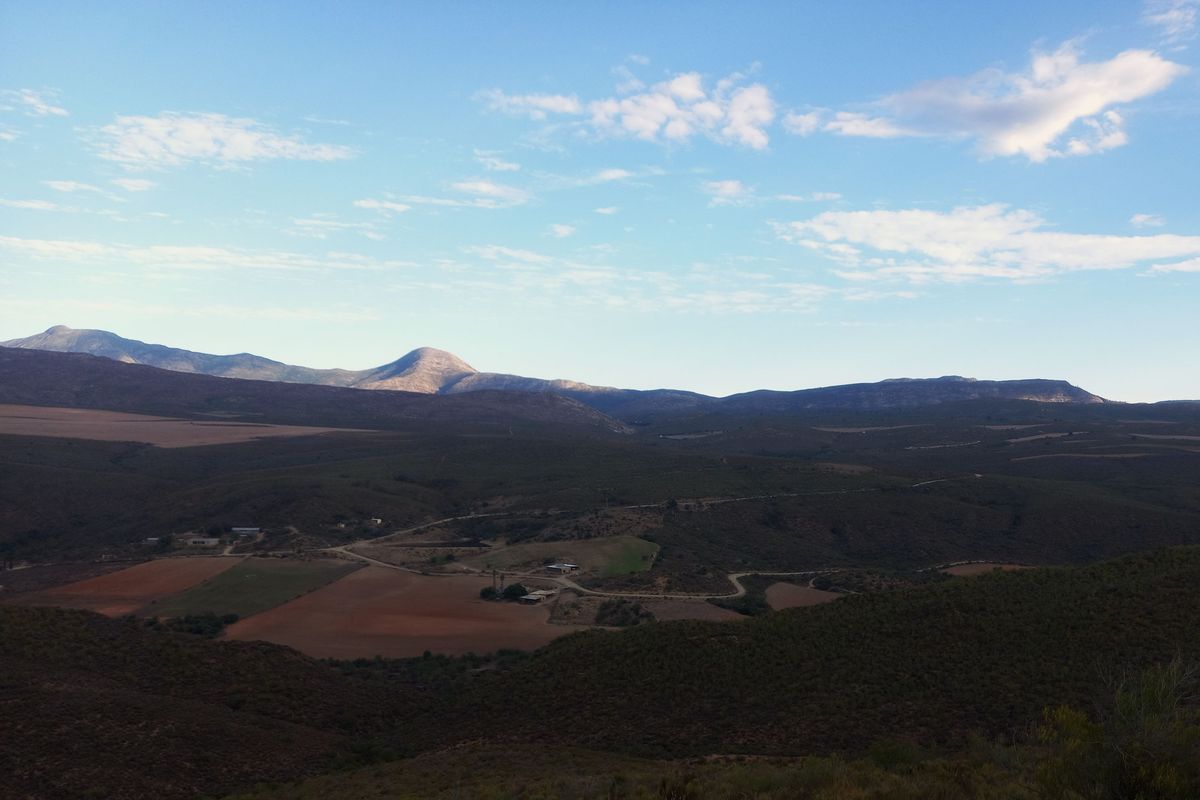 Scenic 102ha Farm with Home Near George - Photo 2