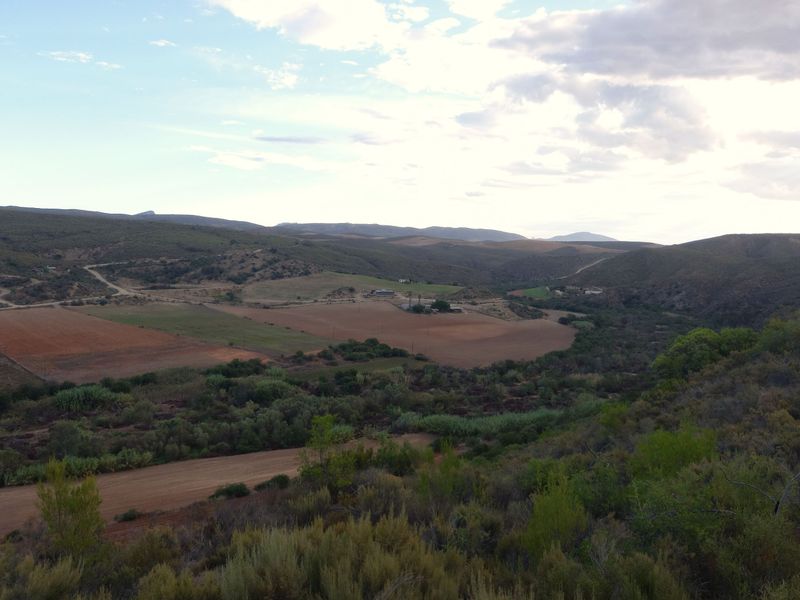 Scenic 102ha Farm with Home Near George - Photo 3