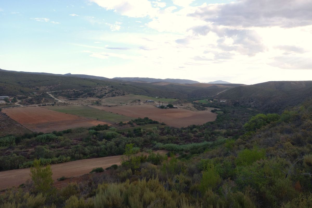 Scenic 102ha Farm with Home Near George - Photo 3